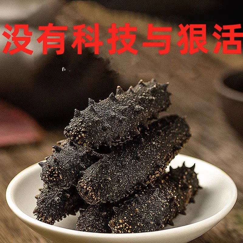 【北京爷们专属】烟台本地淡干海参刺参开口去牙五十到六十头左右