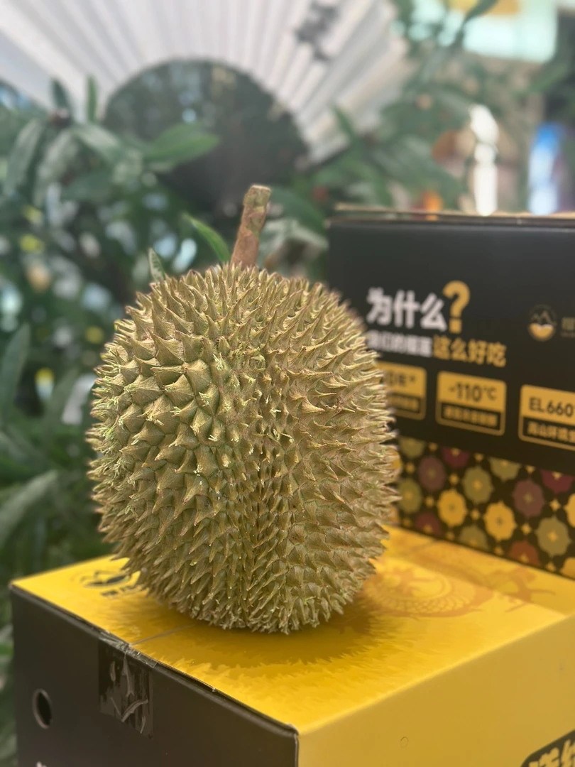马来西亚液氮冷冻榴莲 小品种榴莲红肉榴莲