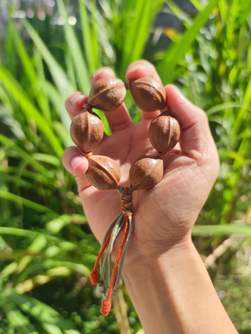 《手捻》20大尺寸梅林铁核手捻素串原生态原产地梅林发货正宗铁核