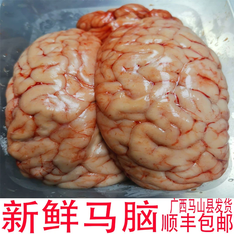 新鲜马脑广西马山县发货马脑花顺丰包邮现杀现卖不论重量按个销售