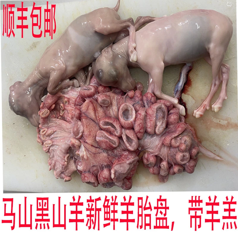 现杀现卖新鲜羊胎盘带羊羔马山县黑山羊农家散养顺丰包邮按套销售