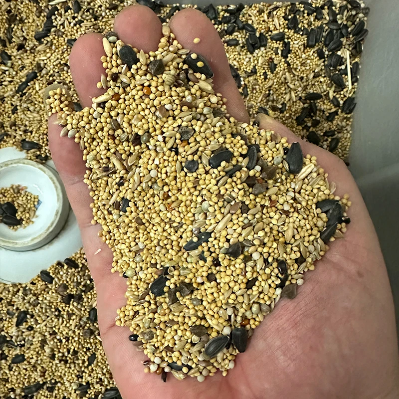 养英武的雷子专业定制鹦鹉混合鸟粮虎皮牡丹玄凤中小型鹦鹉鸟食料