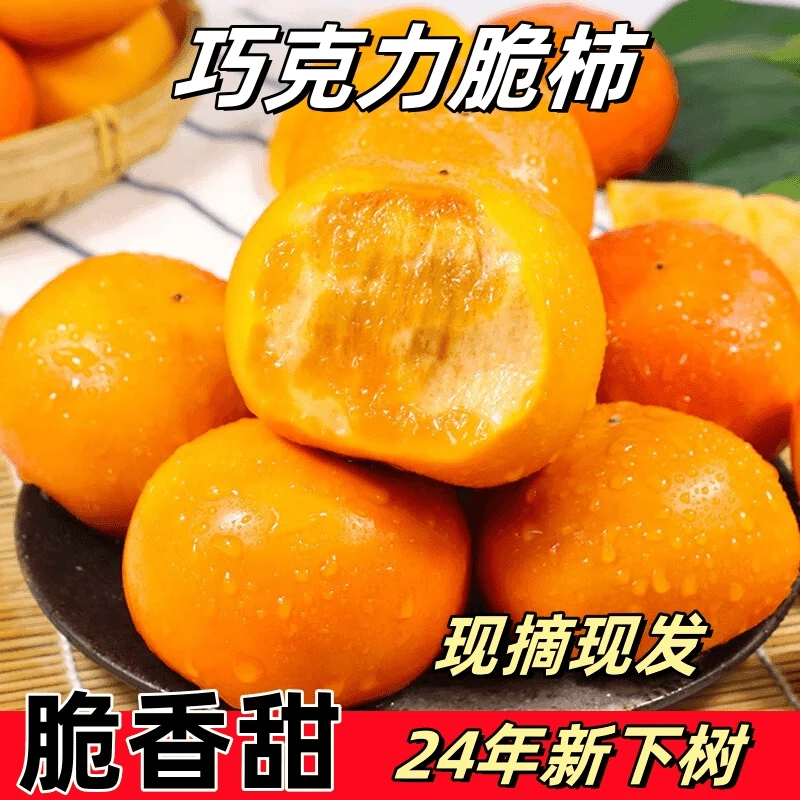 【脆香甜】山西巧克力脆柿子新鲜硬柿子水果1-9斤整箱甜柿现摘现发