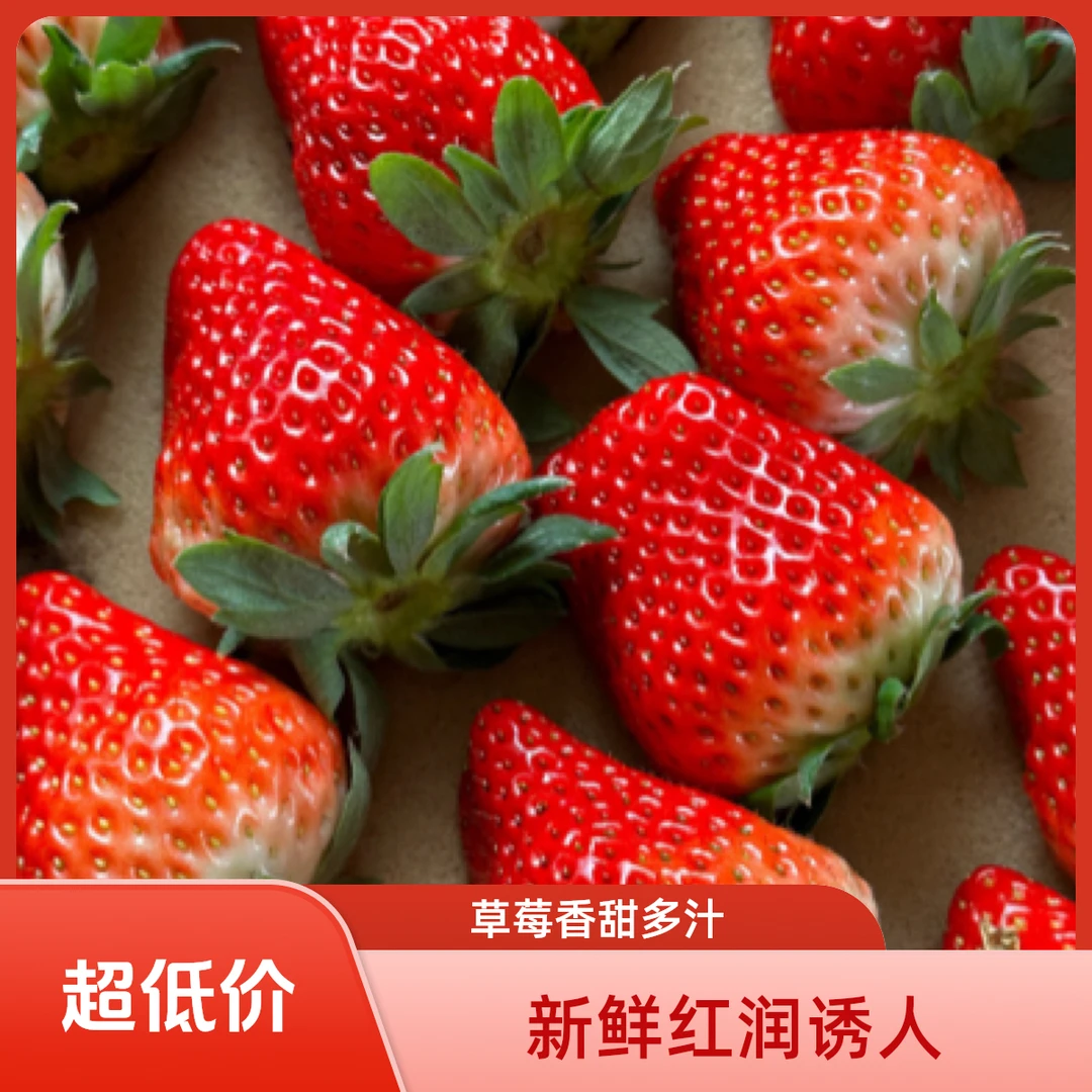 精选清甜饱满丹东红颜99草莓 丹东产地直发（包邮）