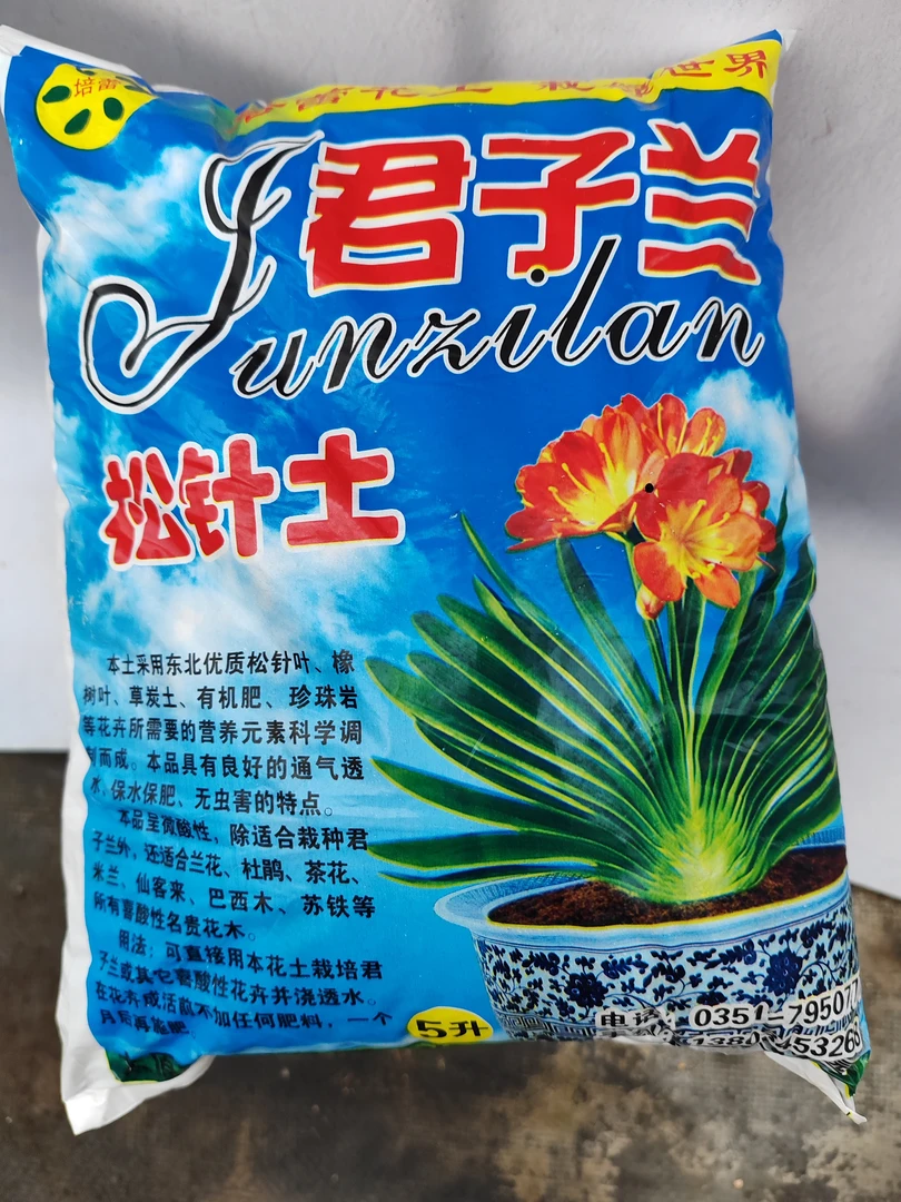 君子兰专用松针土