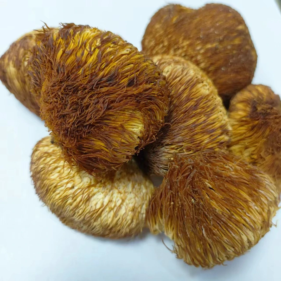 【山珍佬】山货野生猴头菇参猴头菇干货250g/500g