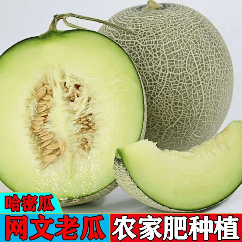 【果和园】山东哈密瓜香网纹瓜甜哈蜜瓜新鲜火焰蜜瓜小蜜