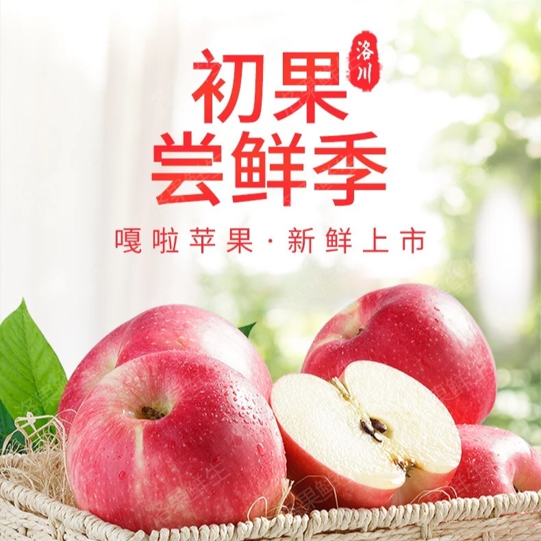 【现摘现发】头茬陕西洛川红嘎啦苹果当季香甜新鲜水果脆甜嘎拉苹果