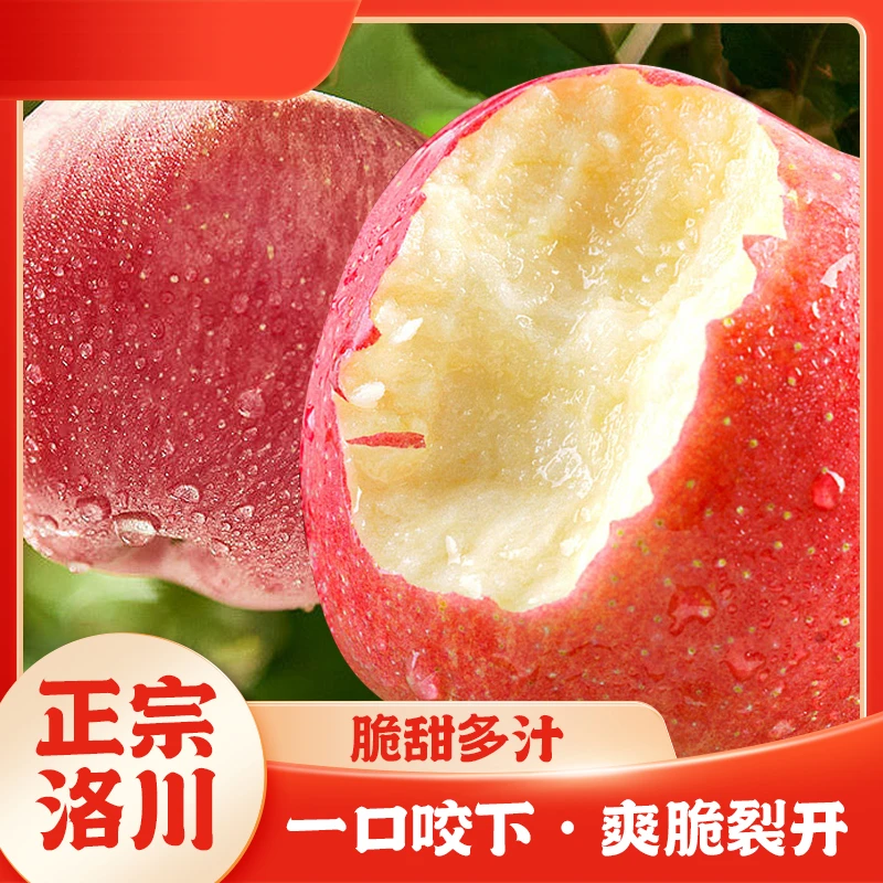 【产地直发】陕西洛川富士苹果【带箱5斤】当季香甜新鲜水果脆甜多汁