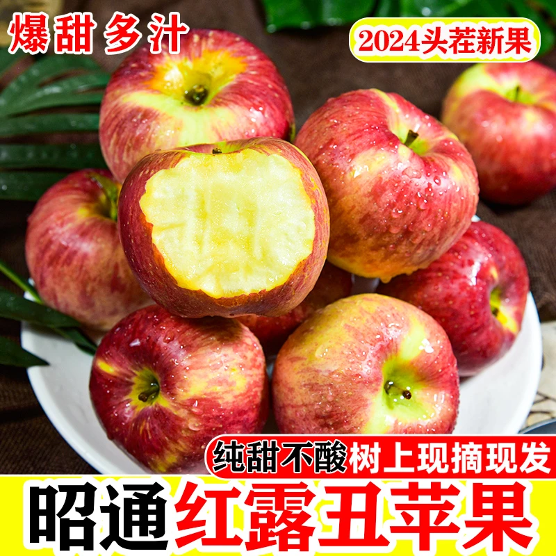 【冰糖心】云南昭通红露丑苹果水果新鲜当季现摘丑苹果产地直发