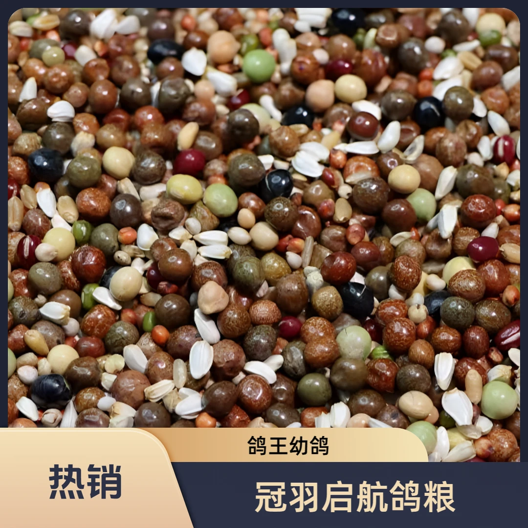 冠羽启航鸽王幼鸽粮有小麦职业赛特比环赛鸽多种豆类组合新鲜干净