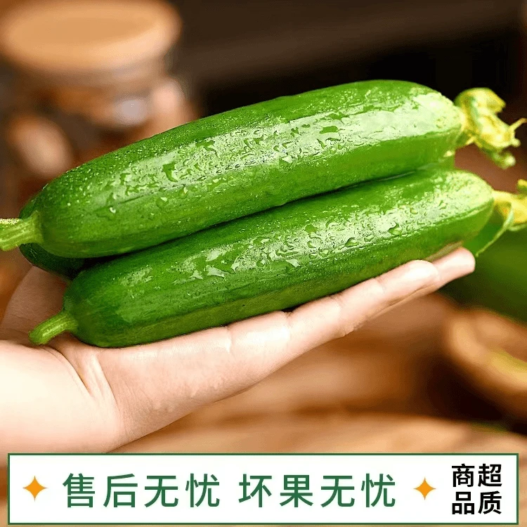 基地直发现摘现发水果黄瓜净4.5斤新鲜生吃脆嫩无刺爽口自然种植