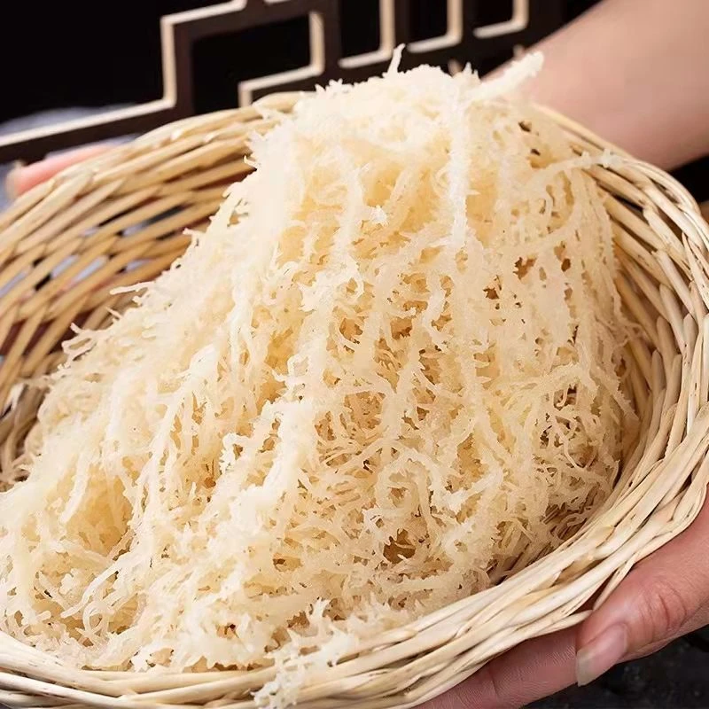 新鲜龙须菜石花菜凉拌菜海藻凉拌鹿角菜海产无添加盐渍