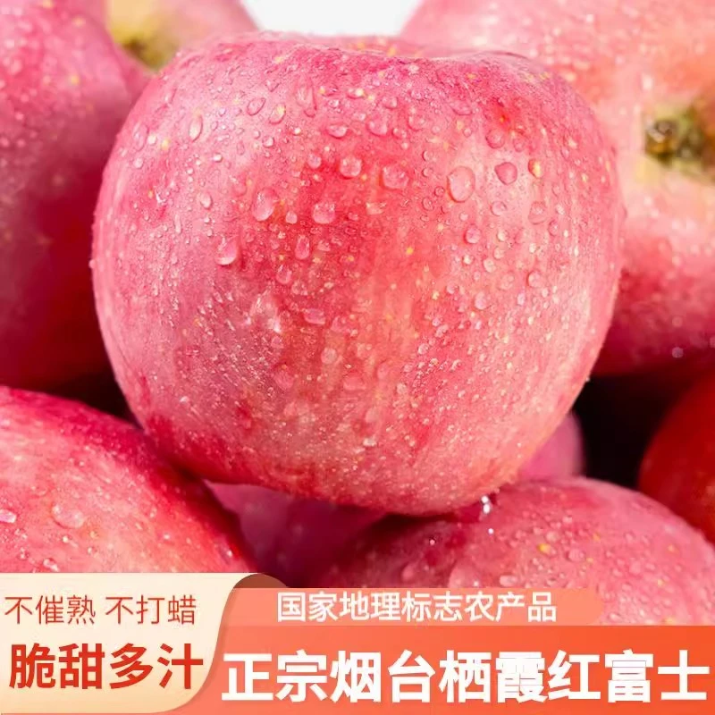烟台红富士苹果水果新鲜当季时令整箱山东栖霞苹果脆甜