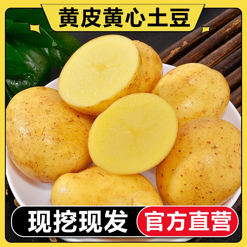 【官方补贴】2025小土豆新鲜黄皮黄心土豆1-9斤当季蔬菜迷你洋芋