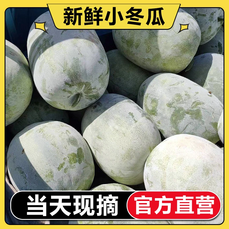 【官方补贴】新鲜冬瓜4-10斤现摘水果小香冬瓜应季农家时令蔬菜挂霜