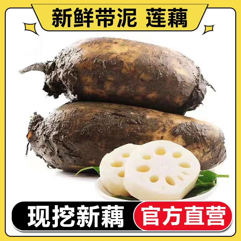 【官方直营】2025现挖新鲜莲藕脆藕3-5斤九孔莲藕新鲜脆藕应季蔬菜