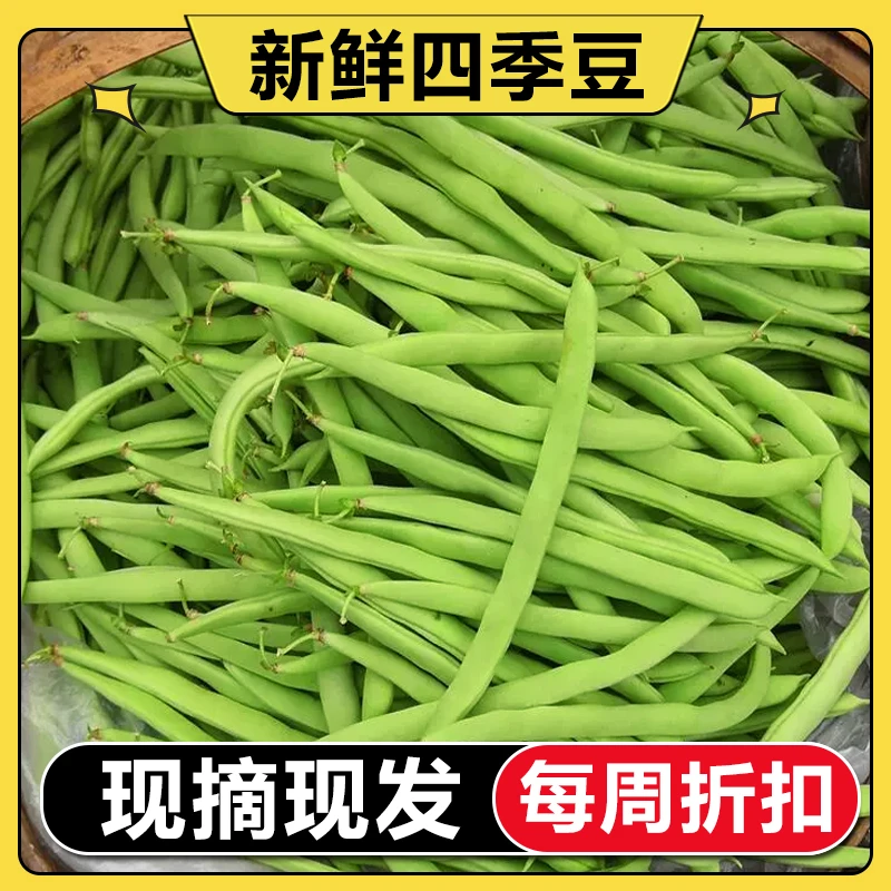 【官方直营】新鲜四季豆应季蔬菜现摘现发3斤5斤9斤装新鲜蔬菜豆角
