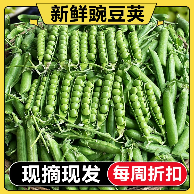 【官方直营】新鲜豌豆当季蔬菜带壳青豆水果豌豆角豌豆荚3-9斤包邮