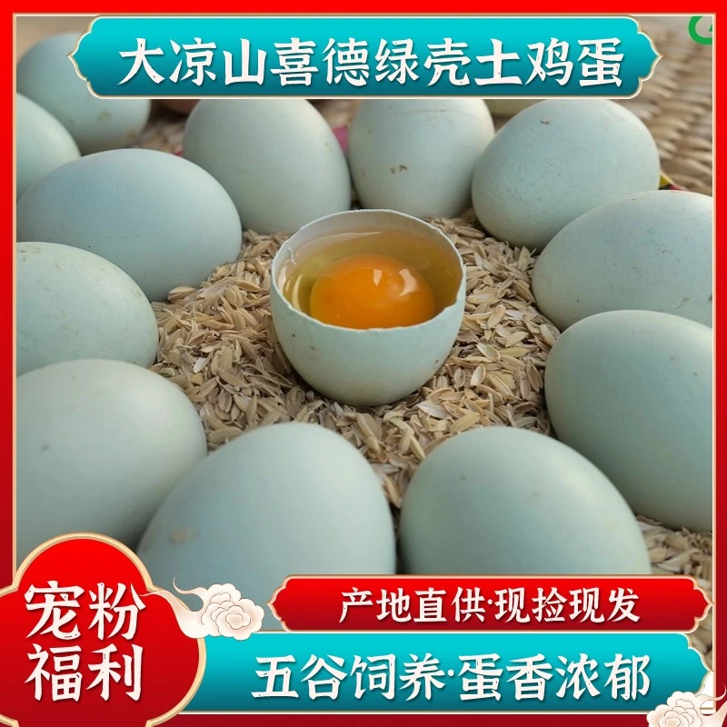 【五彩凉山臻选】高营养四川大凉山特色绿壳鸡蛋绿色散养土鸡蛋