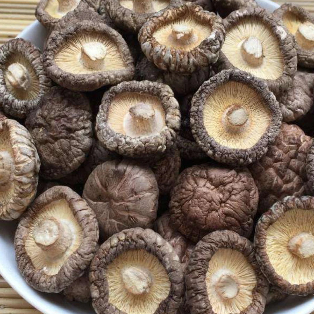 农家香菇干 大颗冬菇 足干肉厚 清香 可搭百合煲汤