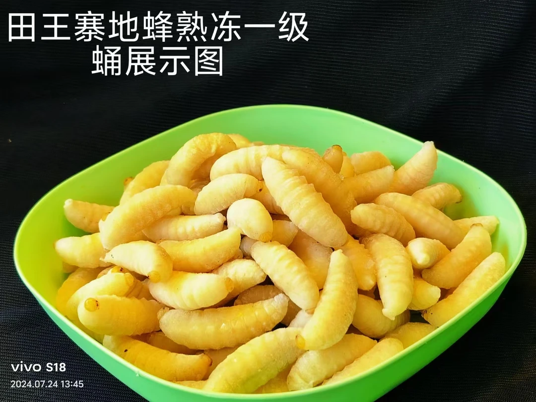 【田王寨】地蜂蛹熟冻——1级!