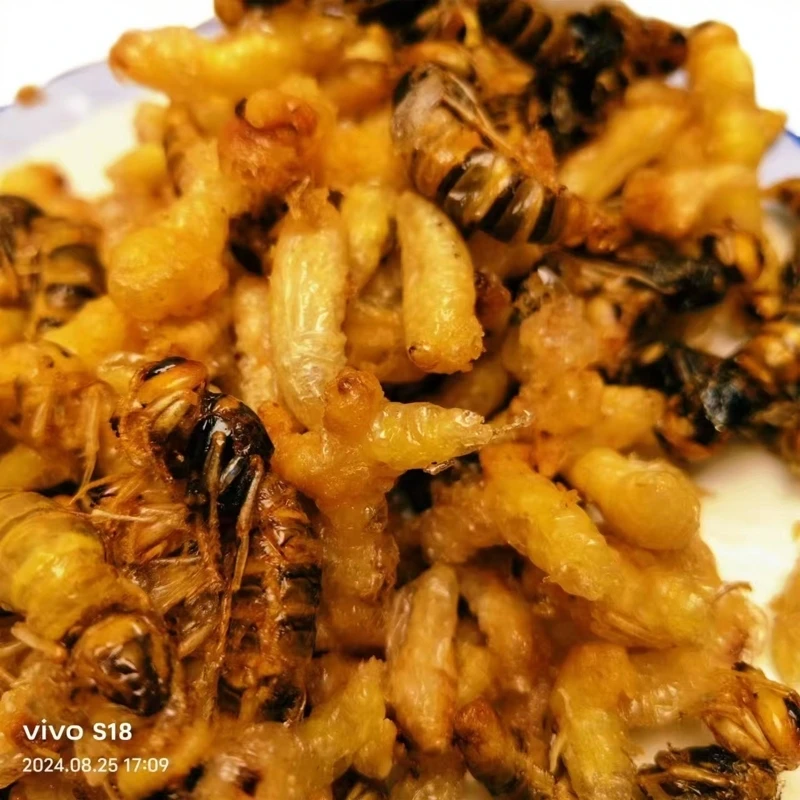 【田王寨】虎头蜂蛹——1234级油炸混装（3级去内脏）