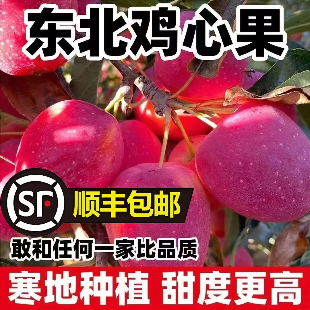 现货【鸡心果】东北特产鸡心果 新鲜小苹果锦绣海棠果海棠果小沙果
