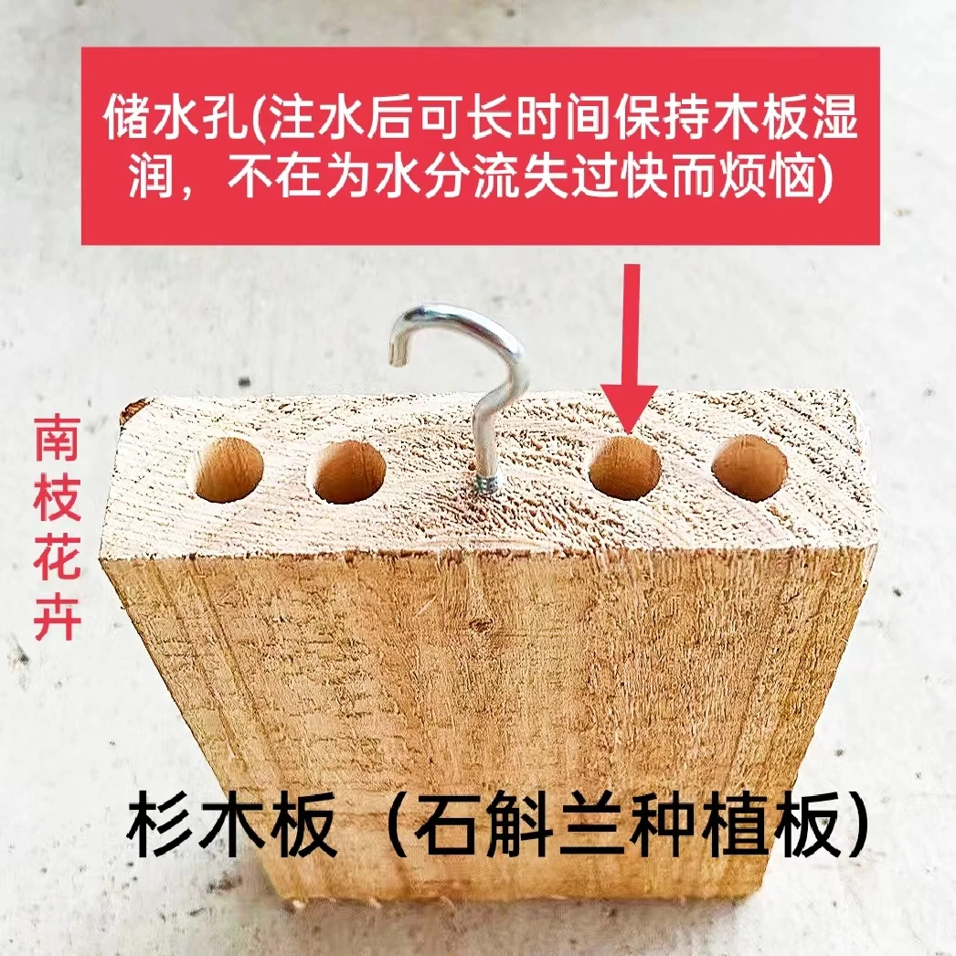 杉木板【用于种植石斛兰附生植物气生根植物等】