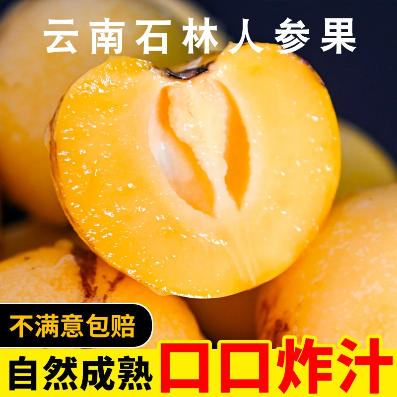 【顺丰空运】云南树上熟石林人参果自然熟清爽软糯清甜5斤精选