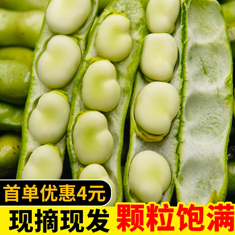 云南新鲜蚕豆带壳农家罗汉豆兰花豆胡豆青豆荚嫩蚕豆蔬菜胡豆米