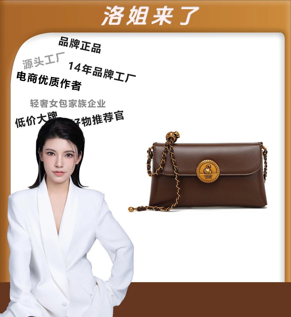 【洛洛专属】BORRY ROSA/柏罗新款棕色【简约链条包】斜跨单肩（无礼盒