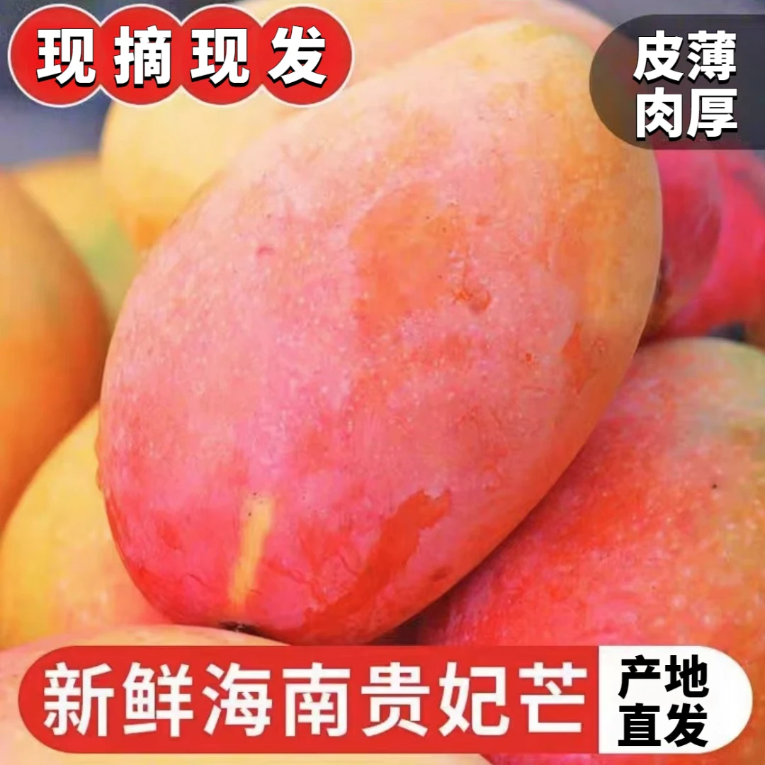 海南贵妃芒新鲜芒果水果香甜产地直发树上多汁大果随机快递3-8斤