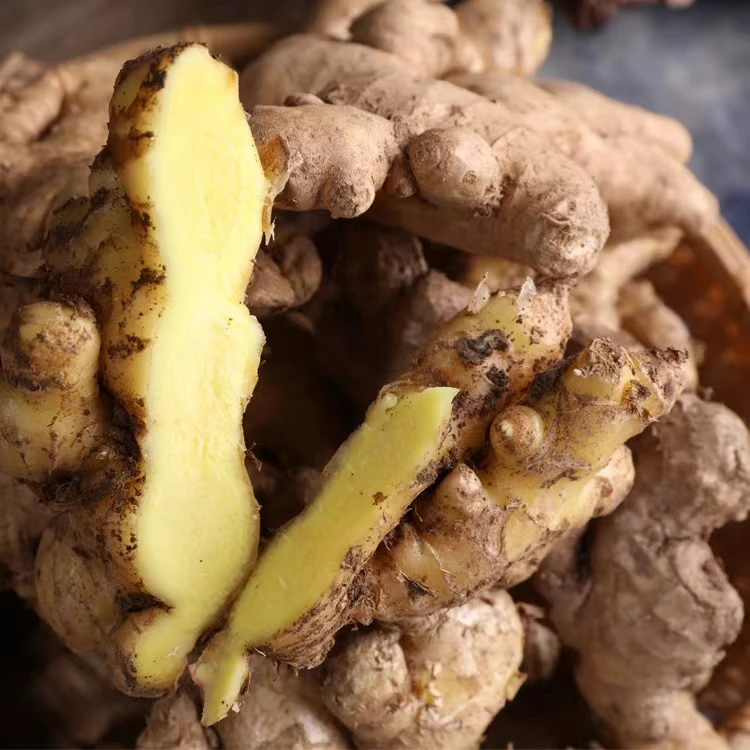 【产地直发】云南小黄姜正宗老姜高原山地姜9斤包赔发货