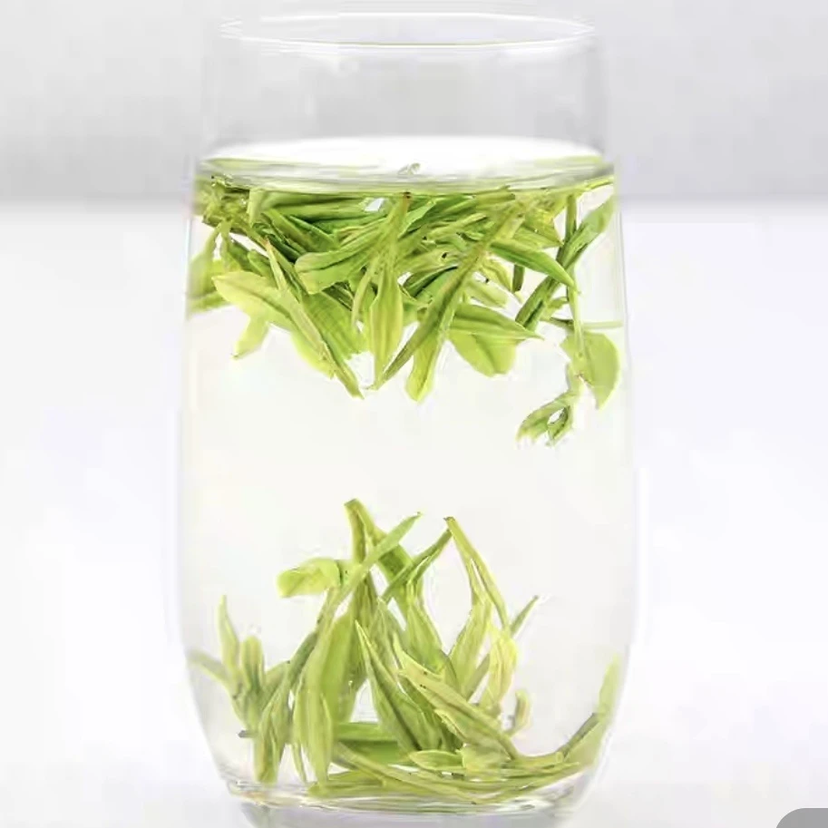 2025浙江安吉【安吉白茶】特香耐泡