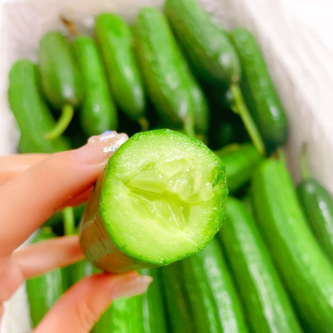 水果黄瓜 1盒