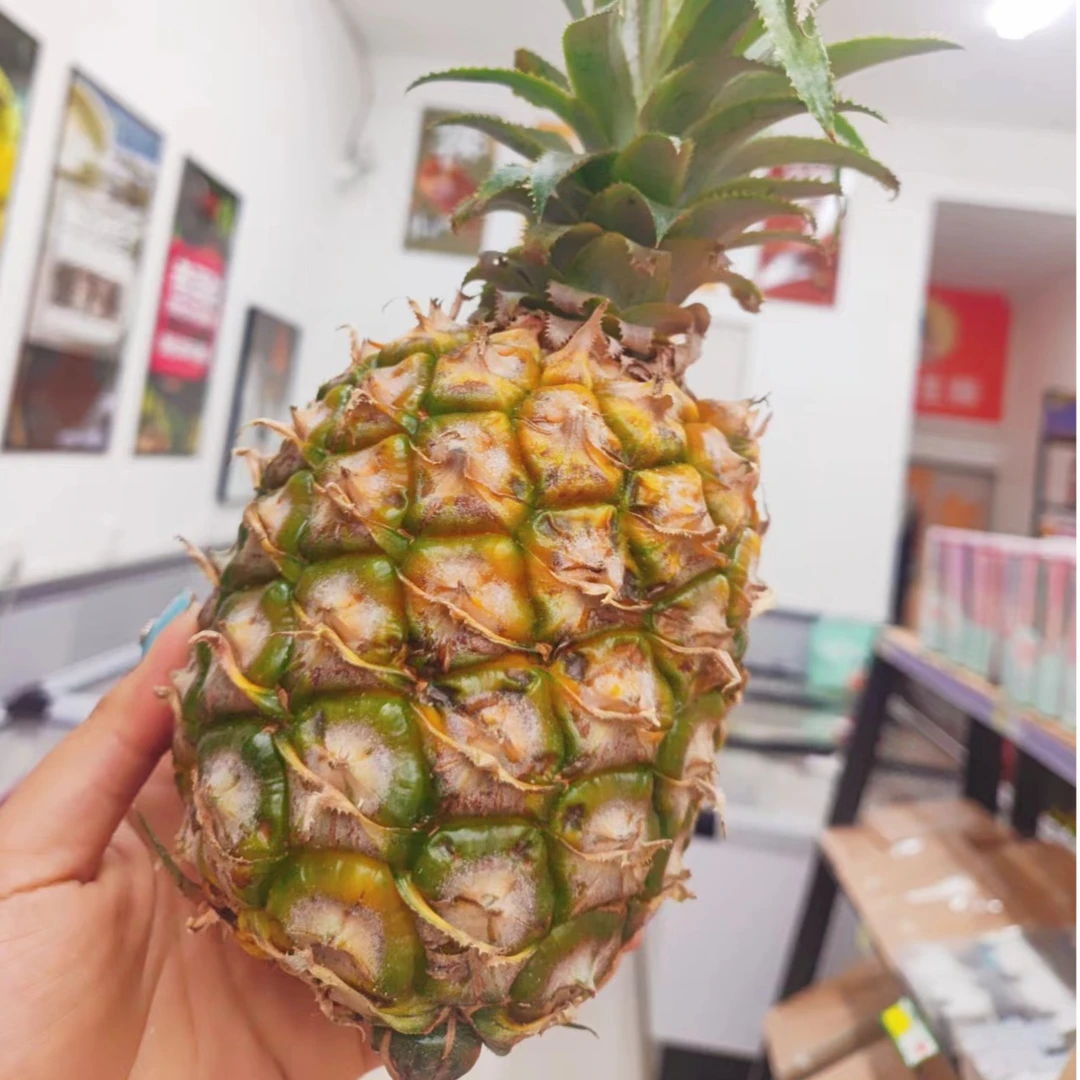 菠萝  不削皮/2颗  1.6KG左右