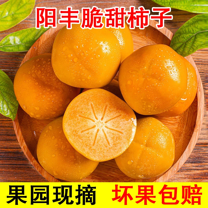 山西正宗阳丰脆甜巧克力柿子4.5斤装果园现摘现发
