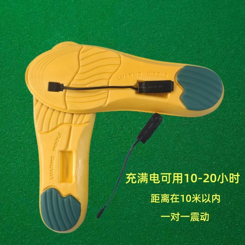 4个鞋垫 2个振动魔术道具近景表演【本产品手工制作无生产资料】