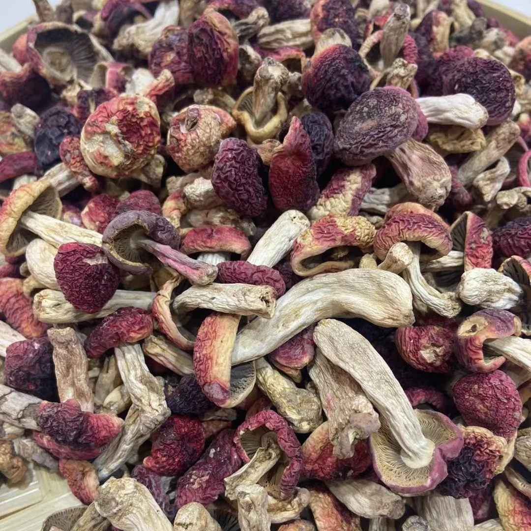 红菇干 程家渔铺野生红菇香菇干 250g