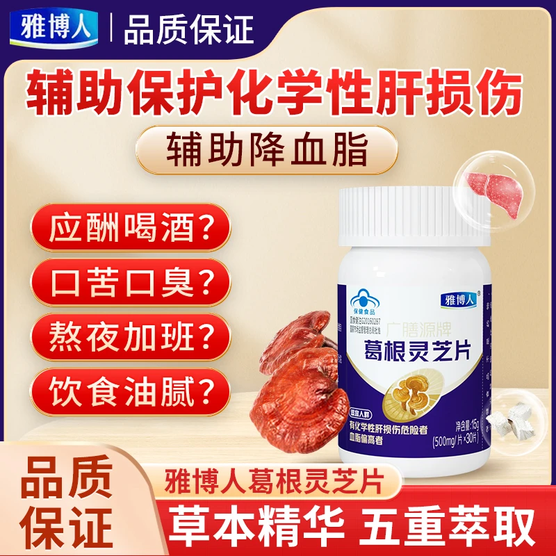 达人专属1-雅博人广膳源牌葛根灵芝片喝酒熬夜应酬营养养生保健品