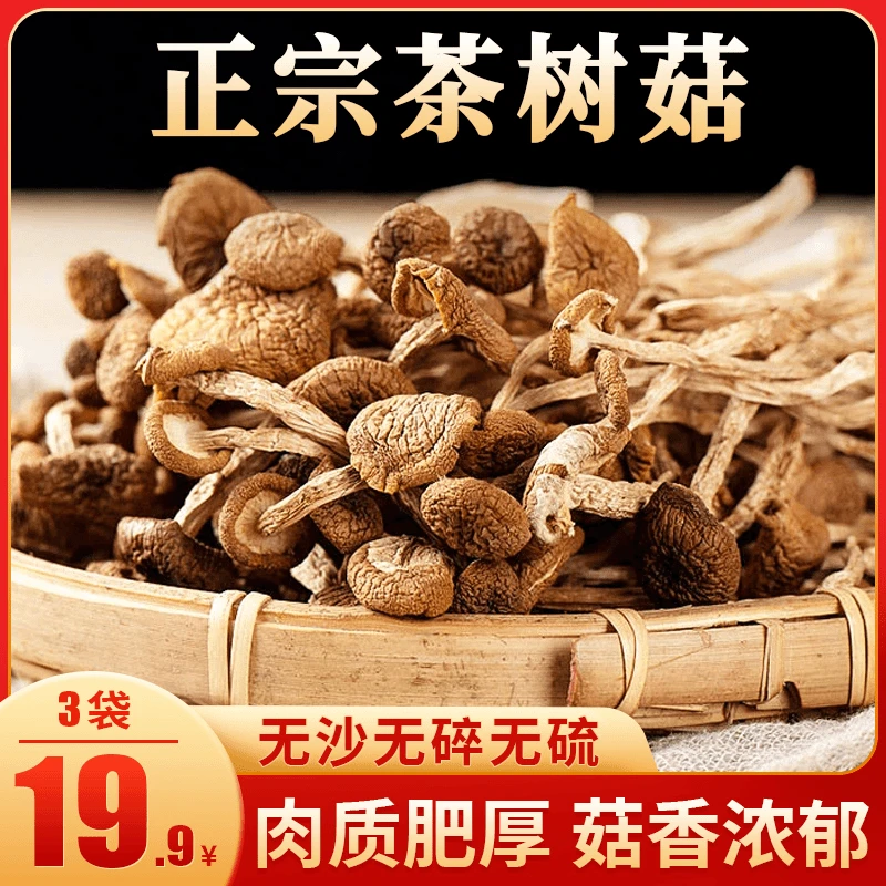 云南富硒茶树菇原汁原味纯干货高钙高蛋白