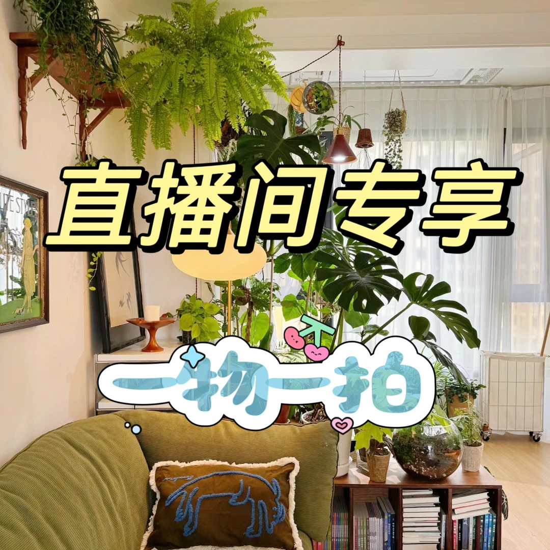 一物一拍直播间专享大型客厅卧室室内绿植