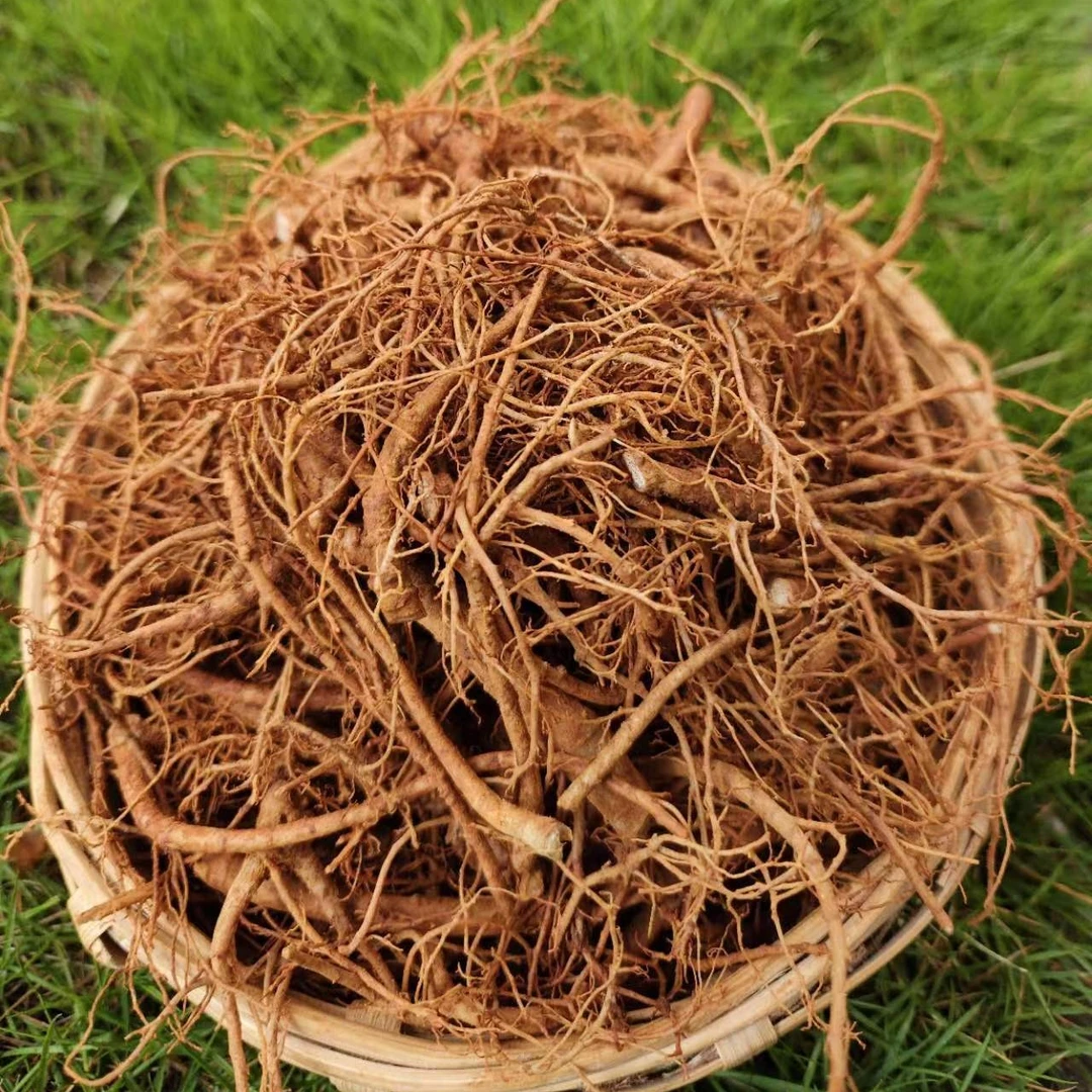 七米山云南文山新鲜三七根带泥发货折耳根田七生三七根须煲汤佳品