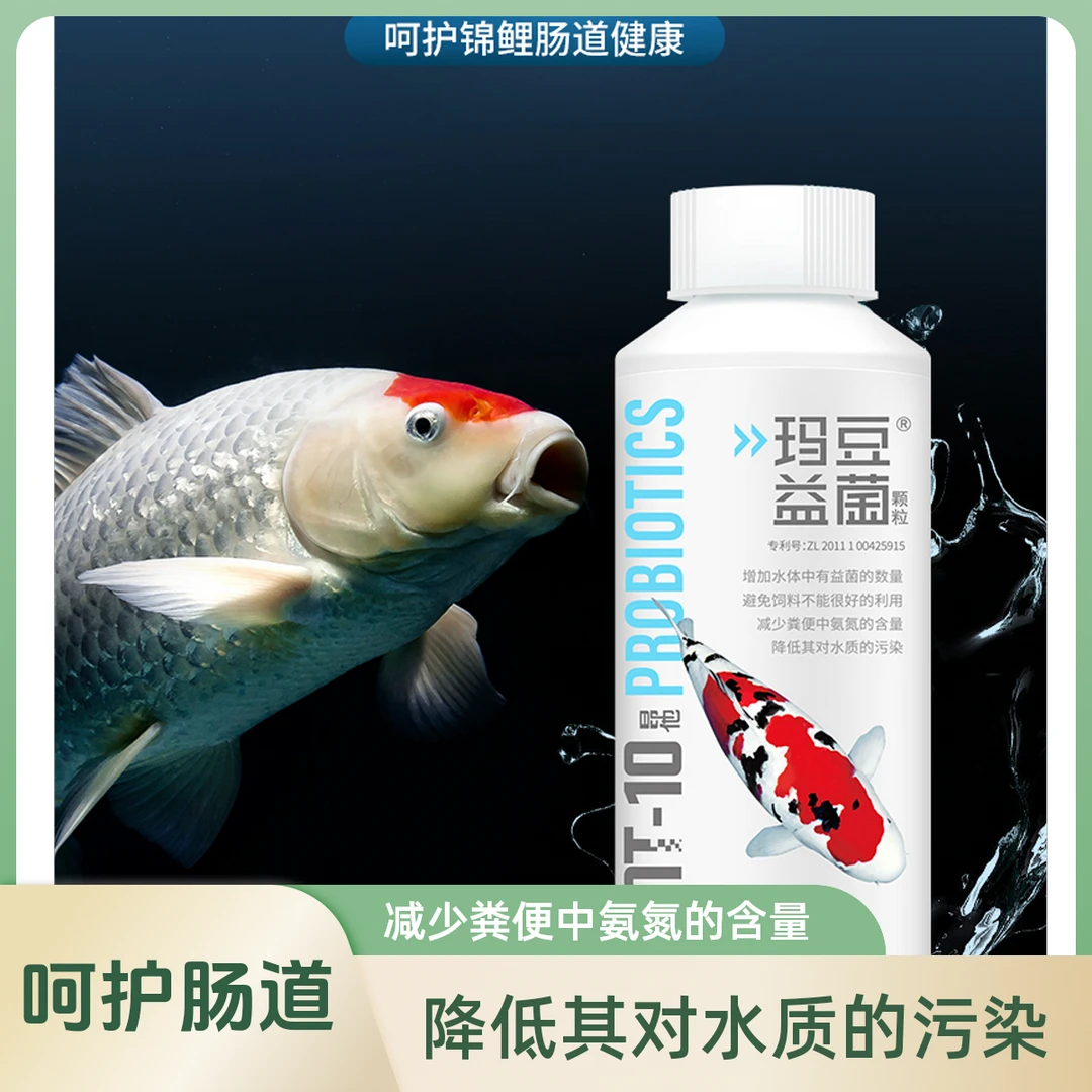 锦鲤益生菌颗粒 呵护锦鲤肠道健康趴缸不吃食用 缓解锦鲤内脏压力