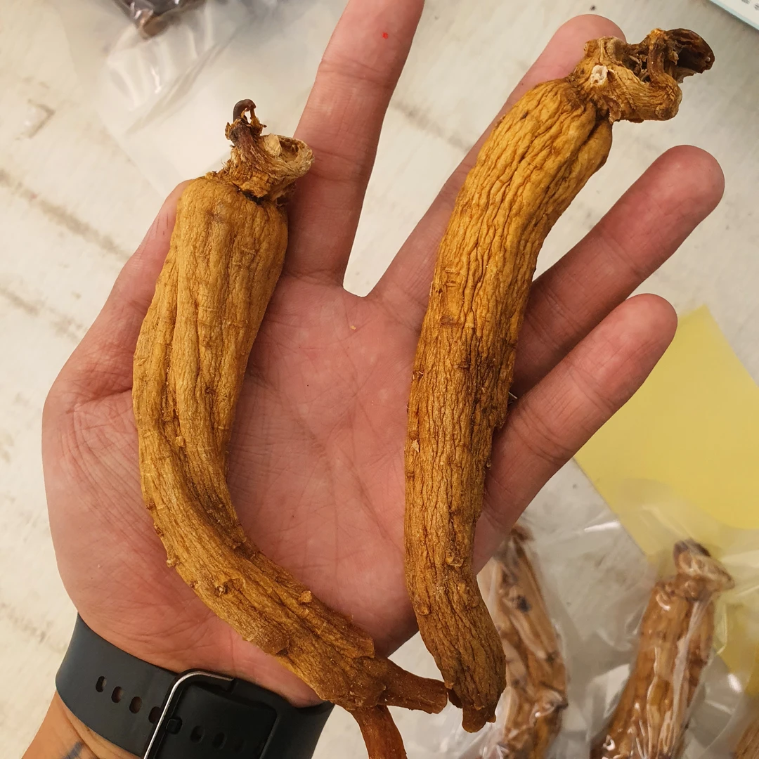 8支500g 老高丽参 单只（进出口级）