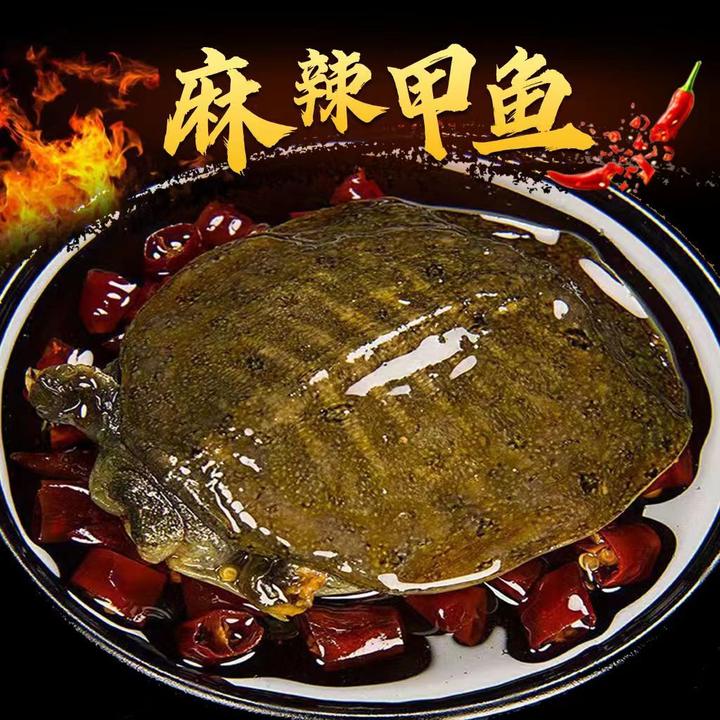 【3只特大发顺丰京东】麻辣五香甲鱼真空包装开袋加热即食鲜嫩美味