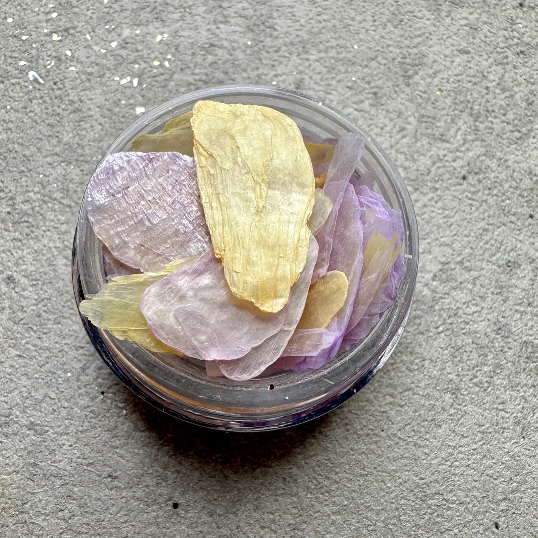 晃晃美甲 贝壳合集六 贝壳碎 幻彩极光 天然云母