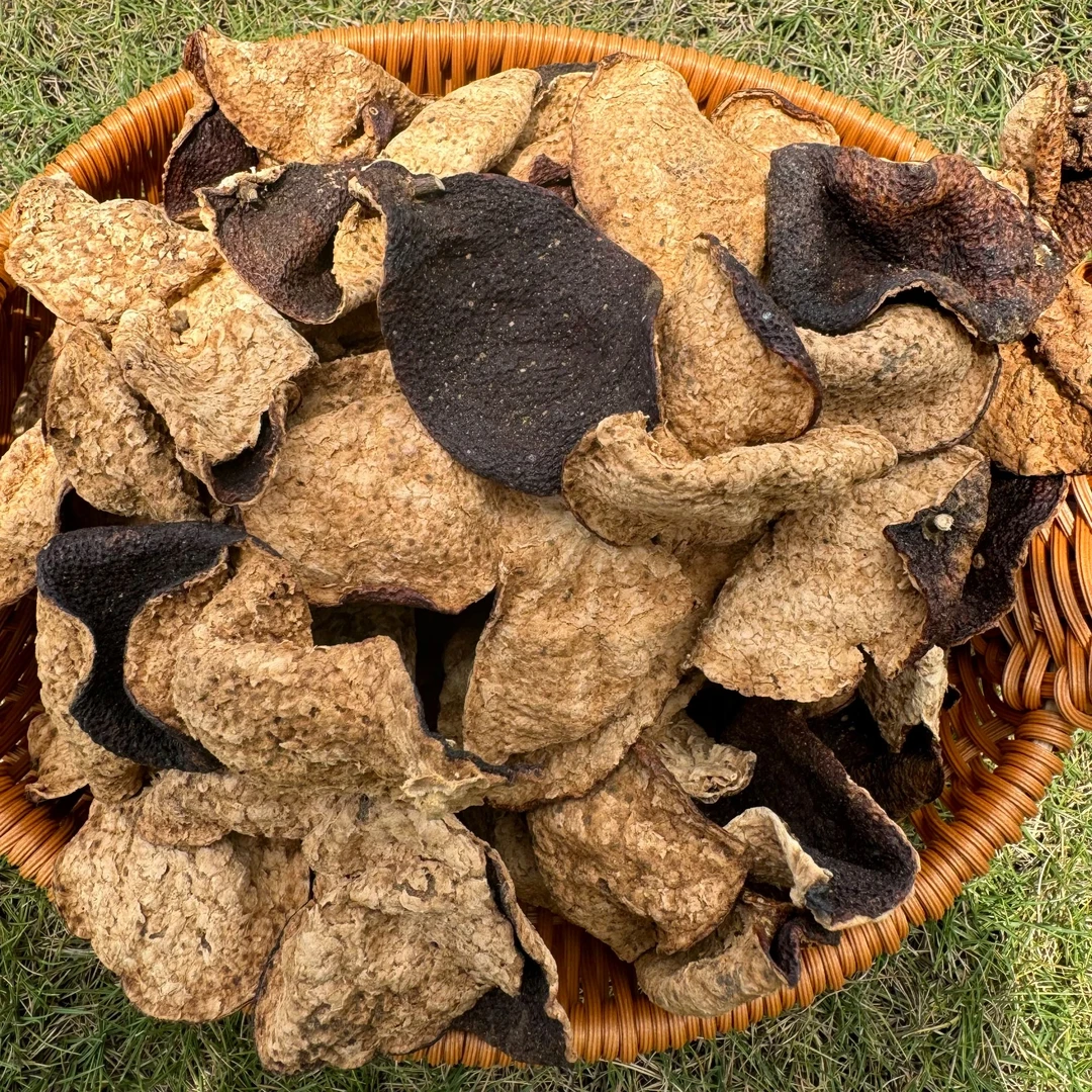 【原枝天花板】999号2010年西甲原枝大红皮（50g/100g/250g）