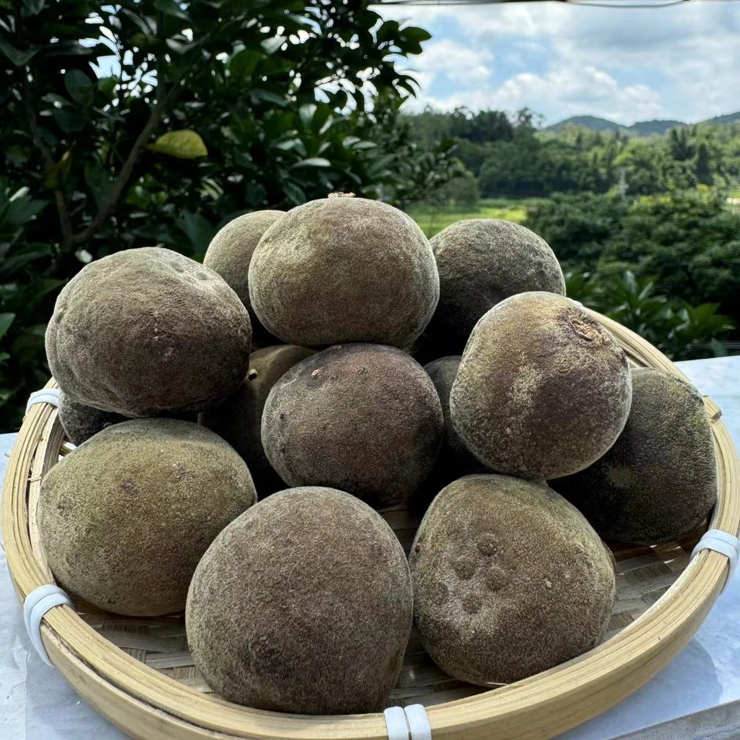 【大军福利】化州橘红13年陈正毛橘红原果50年老树